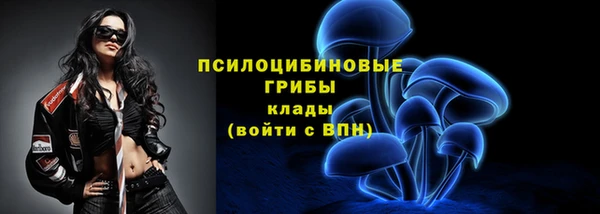 шишки Кукмор