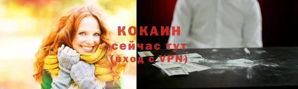 шишки Кукмор