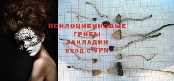шишки Кукмор
