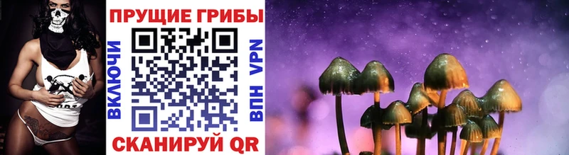 Псилоцибиновые грибы Cubensis  Купить где  Лангепас 